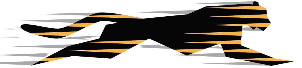 Accelerated Performance Technicians
